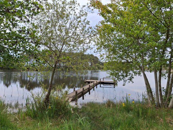 Le plus beau camping dans les Landes